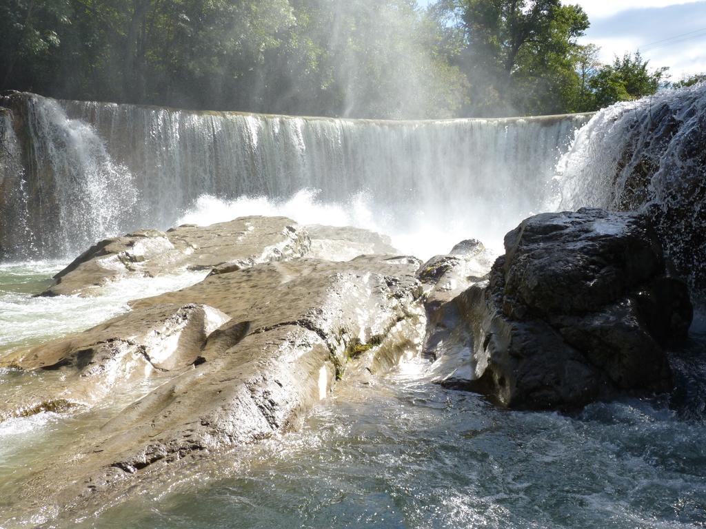 Campsite Camping Les Gorges De L'herault